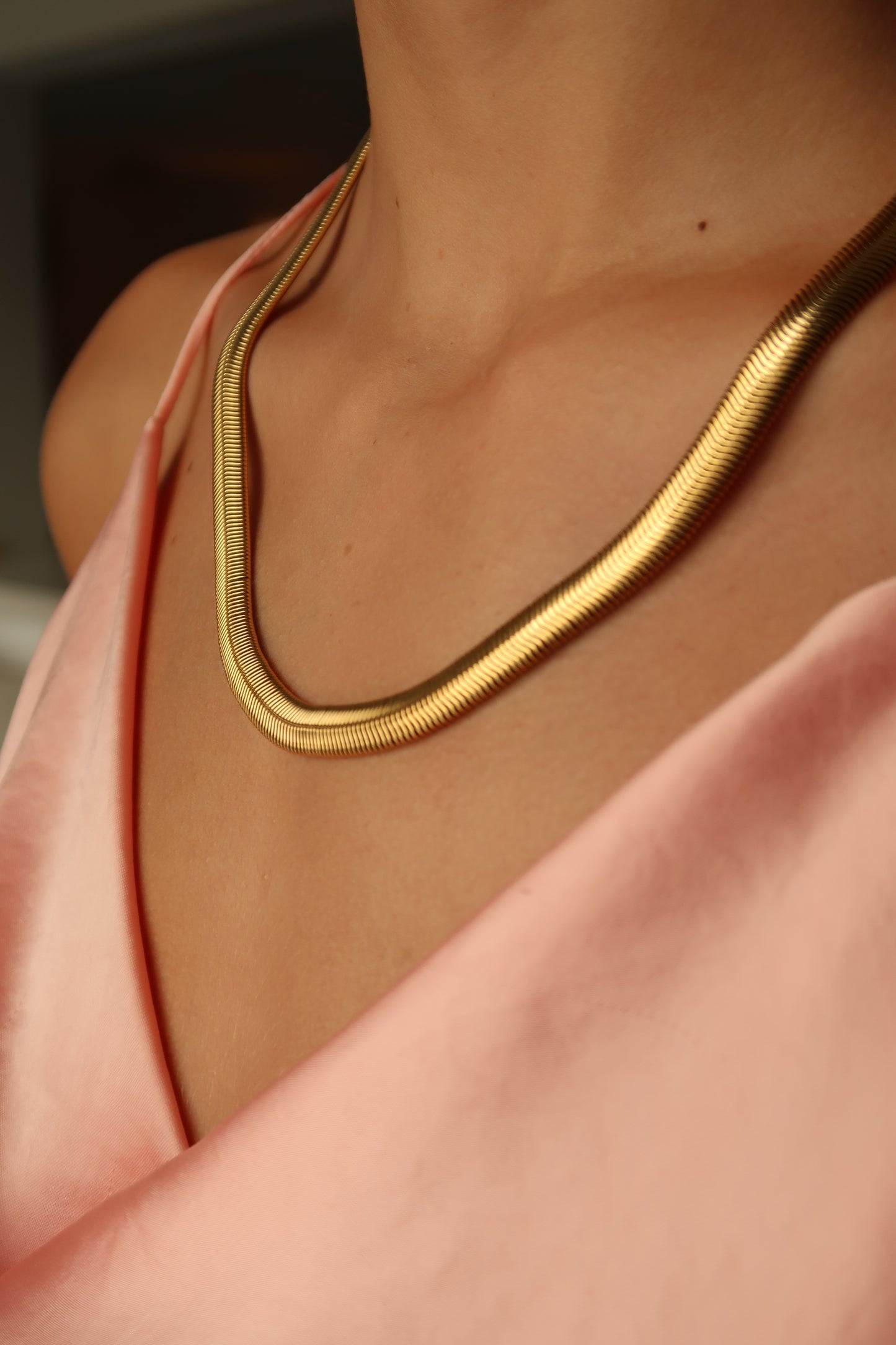 Snake Necklace - Bicosjewelry